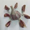 Deerfield Purple Heirloom Certified Seed Garlic Cloves