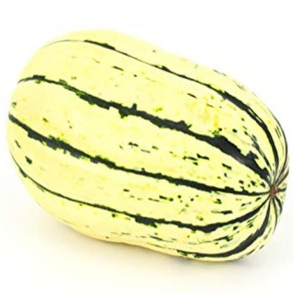 Delicata Winter Squash Seeds