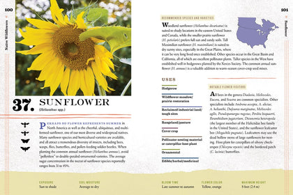 Book:  100 Plants to Feed the Bees