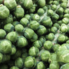Gustus Hybrid Brussels Sprouts Seeds