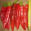 Hatch Cert. Big Jim Legacy Chile Hot Pepper Seeds
