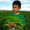 Boy in Hatch valley New Mexico with an arm load of green Big Jim mild chile peppers.