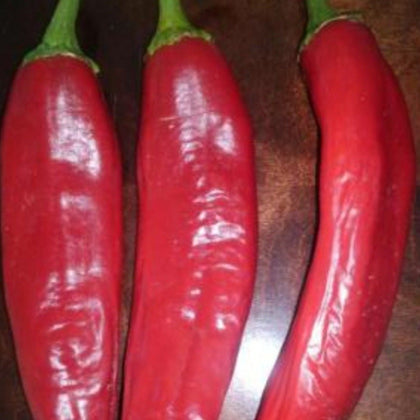 Hatch Cert. Joe E. Parker Chile Hot Pepper Seeds