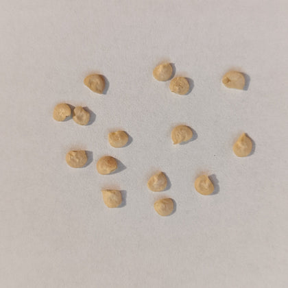 Trinidad Scorpion Extreme Hot Pepper Seeds