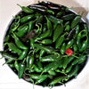 Gigantia Hybrid Jalapeno Hot Pepper Seeds