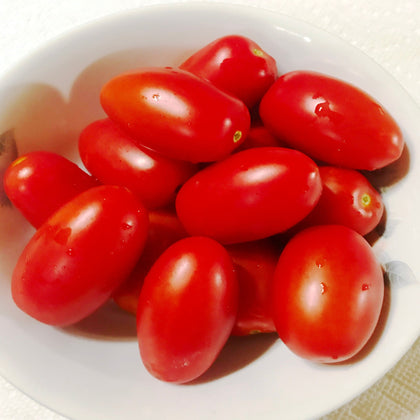 Juliet Untreated Hybrid Paste Tomato Seeds