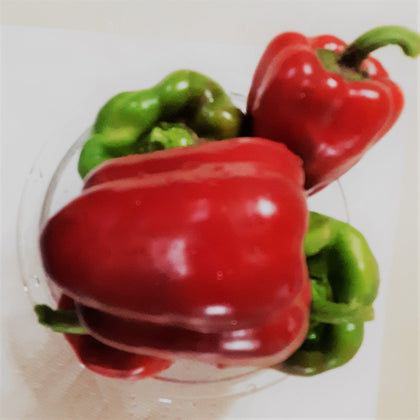 Jupiter Sweet Bell Pepper Seeds