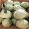Kaitlin Hybrid Cabbage Seeds