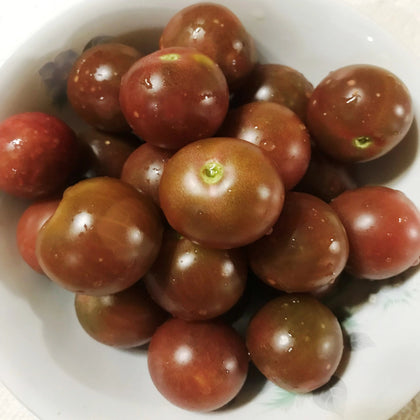 Kevin's Large Black Cherry Tomato Seeds