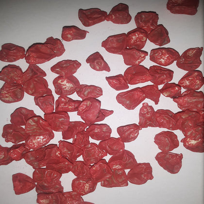 NK 199 Treated Sweet Corn Seed