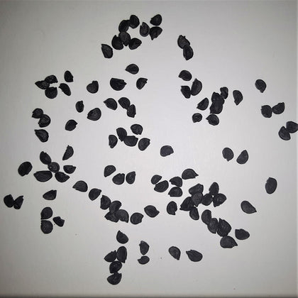 Onion Warrior Bunching Seeds