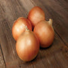 Onion Ovation Seeds