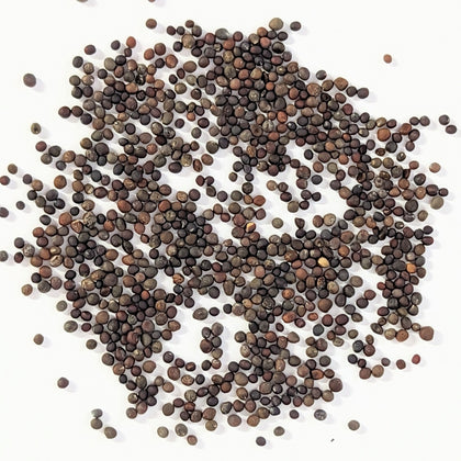 Broccoli Bargain Blend Seeds