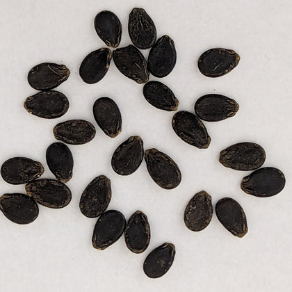 Yellow Gem Sweet Watermelon Seeds