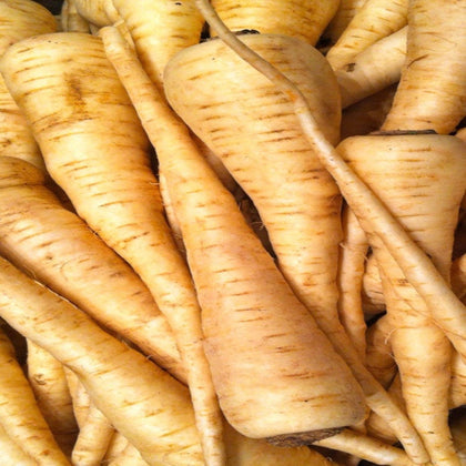 Parsnips Hollow Crown Seeds