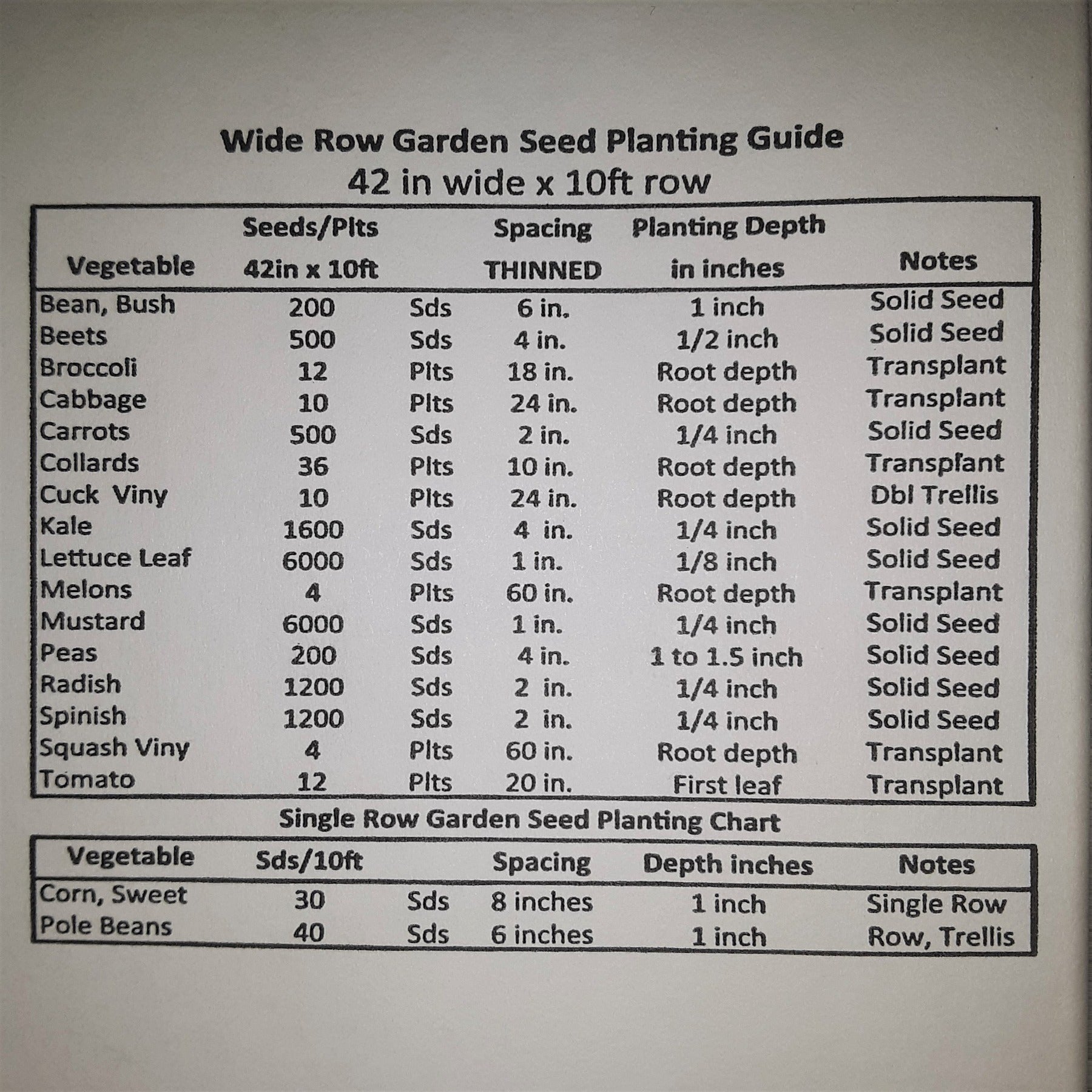 Table King Bush Winter Squash Seeds