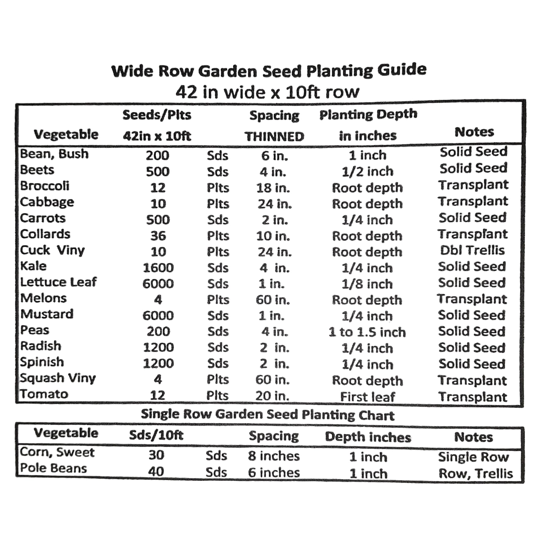 Spaghetti Winter Squash Seeds