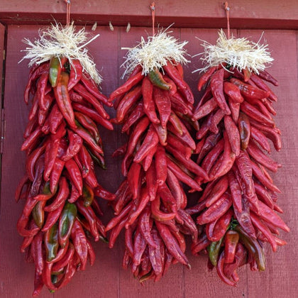 Hatch Cert. Sandia Chile Hot Pepper Seeds