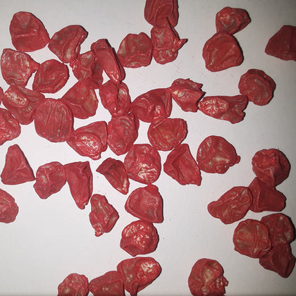 Silver King Treated Hybrid Sweet Corn Seed