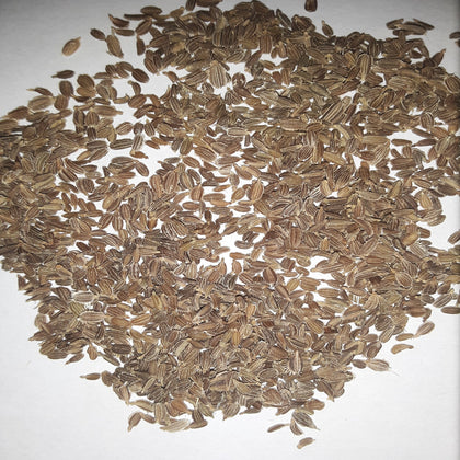Tendersweet Carrot Seeds