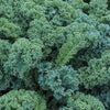 Kale Vates Seeds