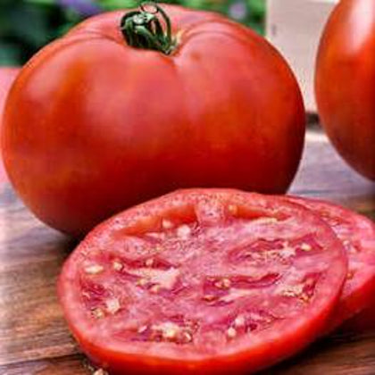 Better Boy Hybrid Tomato Seeds