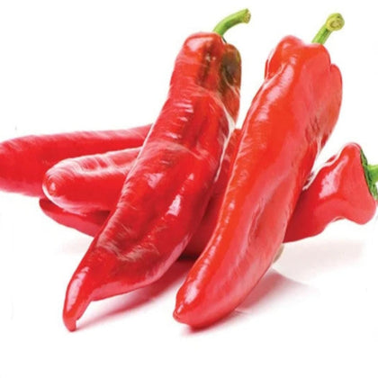 Hatch Cert. Giuzeppi Chile Hot Pepper Seeds