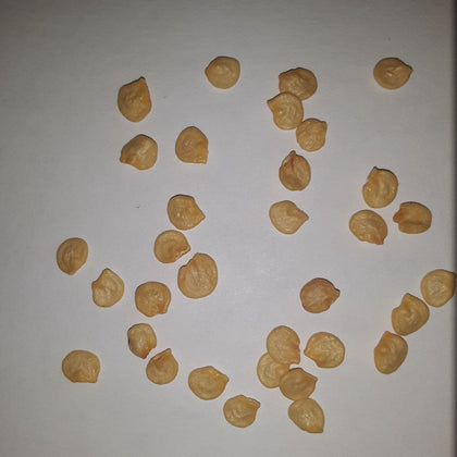 Right on Red Hybrid Sweet Paprika Pepper Seeds